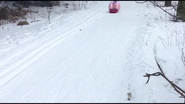 Jong Persoon Paardrijden Een Slee Bergafwaarts Van Een Skipiste Wintersport — Stockvideo