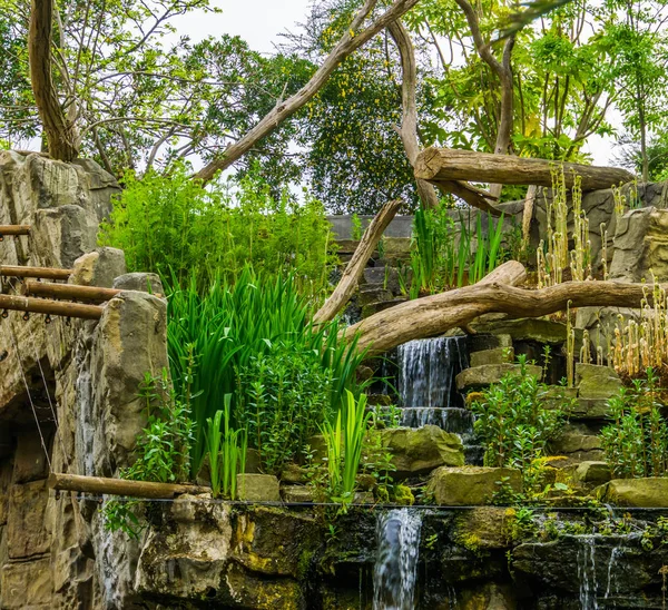Trópusi növényzetű vízesés sok növényvel, egzotikus kerti építészet — Stock Fotó