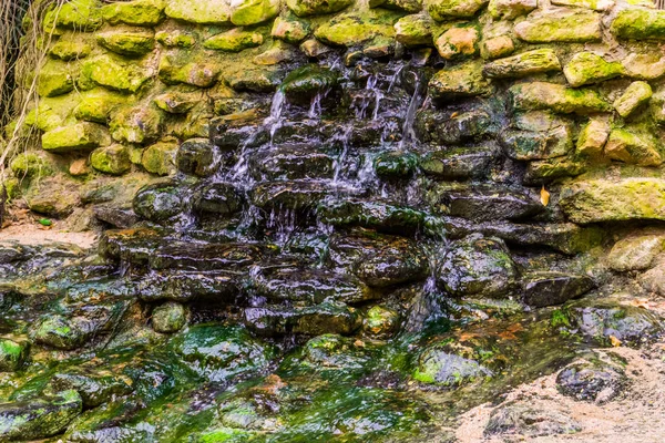 Маленькая вода падает в сад, вода течет по стене скал, архитектура двора — стоковое фото