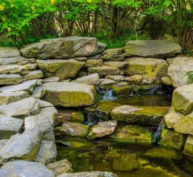 akarsu şelale birçok kayalardan yapılmış, tropikal bahçe mimarisi