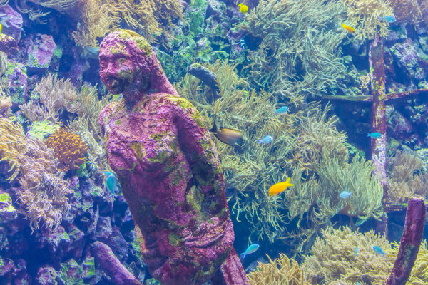 Eroding stone mermaid statue underwater, aquarium decoration, marine life background