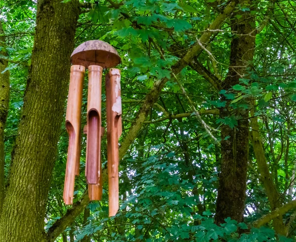 传统木风铃挂在森林中的树上，自然和精神背景 — 图库照片