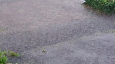 Hollanda'da bir köyün sokaklarında şiddetli yağmur fırtınası, su ile taşan sokaklar, Hollanda hava ve iklim