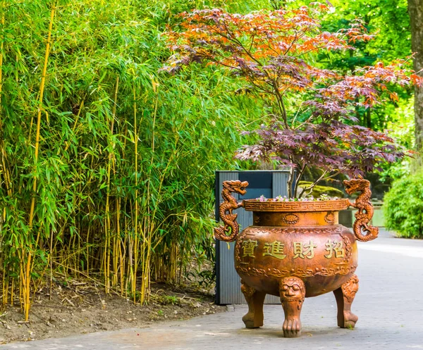 Fioriera calderone giapponese tradizionale con un albero di acro, bella decorazione del giardino asiatico — Foto Stock
