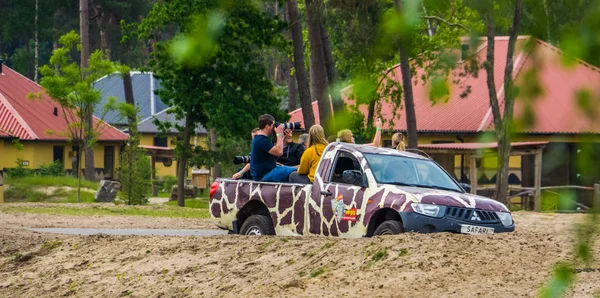 Safari SUV plné turistů projížděcích parkem zvířecího Zoo, návštěvníky Beekse Bergenu, Hilvarenbeka, 25. květen, 2019, Nizozemsko — Stock fotografie