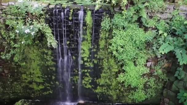 Stor Strömmande Vattenfall Tropisk Trädgård Natur Arkitektur Lugn Bakgrundsvideo — Stockvideo