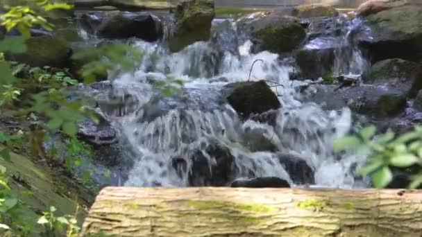 Streaming Water Rocks Closeup Beautiful Garden Architecture Nature Background Tiny — Stock Video