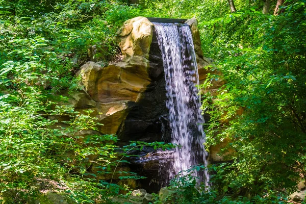 Водопад со скалы в лесных пейзажах, природный фон, садовая архитектура — стоковое фото