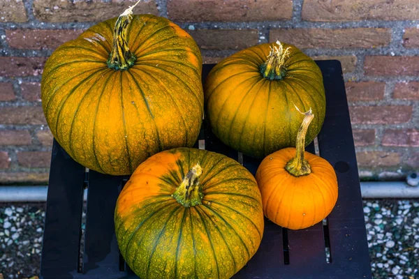 Апельсин с зелеными тыквами на садовом столе, наружные украшения на Хэллоуин и осень, сезонные традиции — стоковое фото