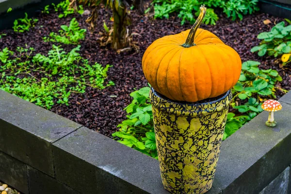 Abóbora laranja em um vaso em close-up, decorações tradicionais de Halloween e outono, fundo de férias sazonais — Fotografia de Stock