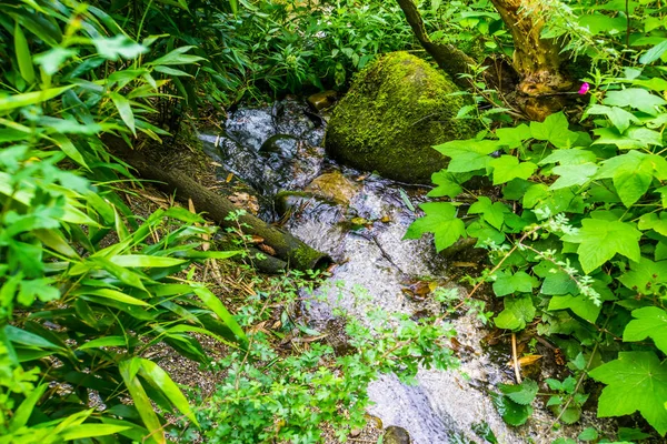 Течёт вода над скалами в тропическом саду, экзотический природный фон — стоковое фото