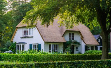 bir ormanda klasik lüks ev, sazdan çatıile tipik Hollanda ev, kırsal mimari