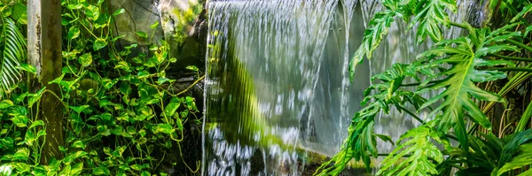 Струящийся водопад с зелеными листьями и растениями в тропических джунглях, экзотический природный фон — стоковое фото