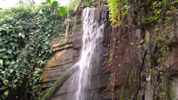 Streaming Waterfall Cliff Tropical Nature Scenery Water Motion — Stock Video