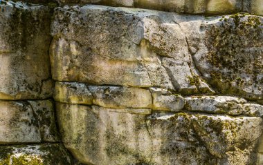 Yosun kaplı bir dağ kayasına yakın çekim, kayalık doğa kalıbı.