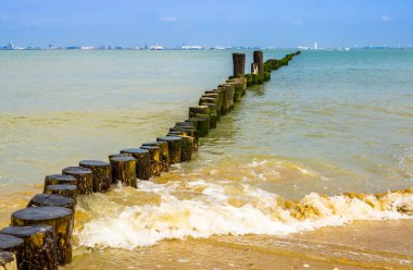 Dalgalarla okyanus Breskens, Zeeland, Hollanda sahillerindeki tahta direklere çarpıyor.