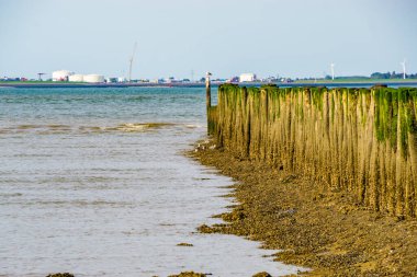 Breskens 'in sahil manzarası Vlissingen, Zeeland, Hollanda' nın sanayi bölgesini gösteriyor.
