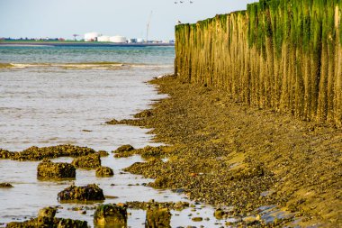 Vlissingen, Zeeland, Hollanda sanayi manzaralı güzel Breskens plaj manzarası