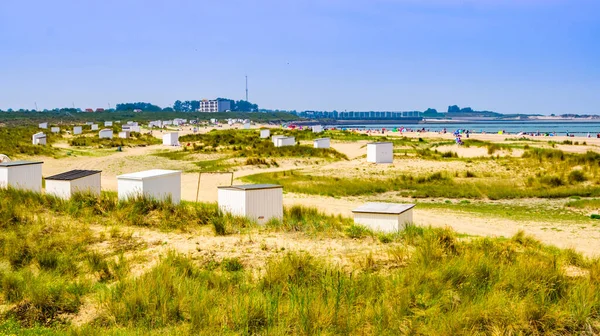 Bellissime Dune Con Cottage Sulla Spiaggia Spiaggia Turistica Breskens Zelanda — Foto Stock