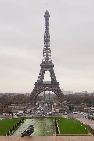 Torre Eiffel y paloma. La vista desde la plaza de la libertad y los derechos humanos — Foto de Stock