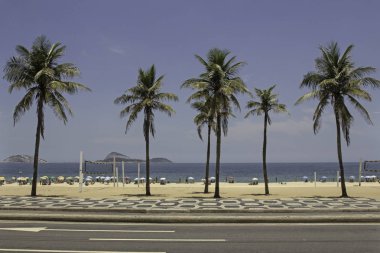 Ipanema Plajı, güneşli Rio de janeiro güzel palmiye ağaçlarının