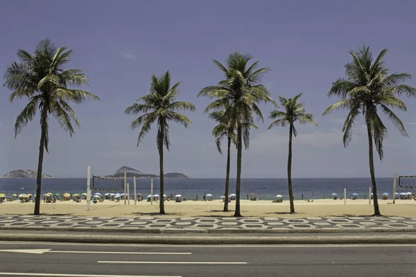 Ipanema Plajı, güneşli Rio de janeiro güzel palmiye ağaçlarının