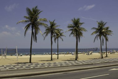 Palmiye ağaçları güneşin Ipanema Plajı Rio de Janeiro Brezilya