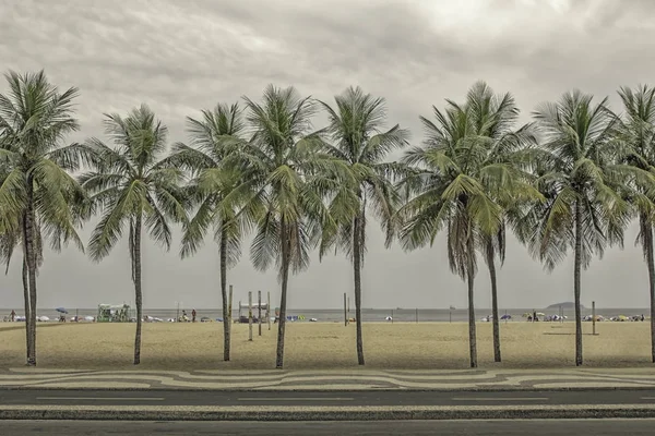 Palms Ipanema Beach Rio Janeiro Brazil — Stock Photo, Image