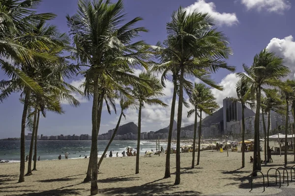 자네이 브라질에서 해변에서 야자수 — 스톡 사진