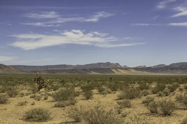 内华达沙漠中的阳光明媚的一天 — 图库照片