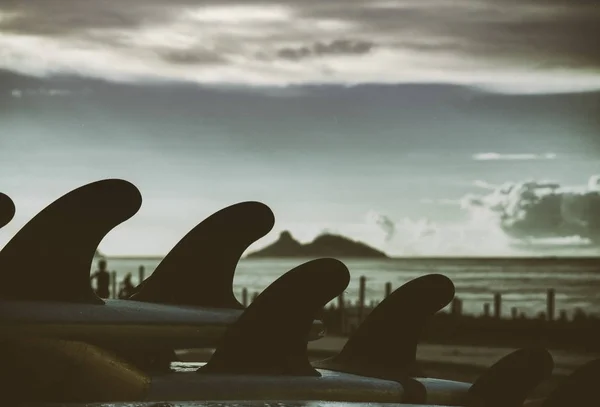 Surfboards Roof Car — Stock Photo, Image