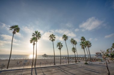 Manhattan Beach iskelesinden California sahil boyunca aplm ağaçları ile