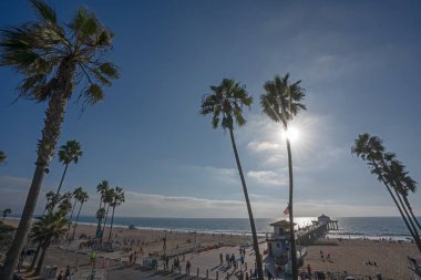 Manhattan Beach California iskele ve palmiye ağaçları ile görünüm
