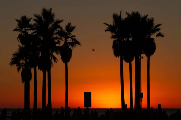 Céu Noturno Sobre Oceano Venice Beach Califórnia — Fotografia de Stock
