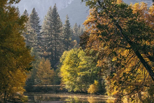 Fall Colors Yosemite Valley Yosemite National Park California — Stock Photo, Image