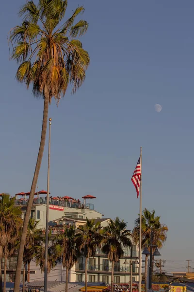 Palmy Amerykańską Flagę Venice Beach Kalifornii — Zdjęcie stockowe