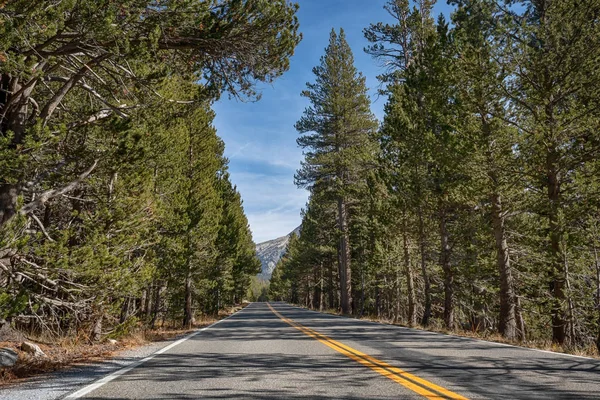 Route Dans Parc National Yosemite Californie — Photo