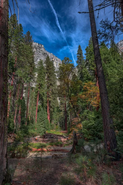 Árboles Fondo Del Valle Yosemite Parque Nacional Yosemite California — Foto de Stock