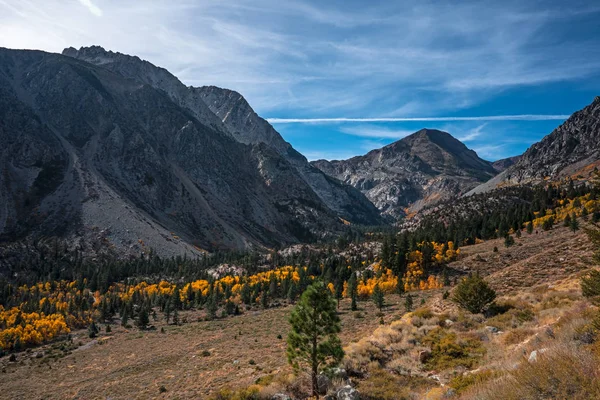 Vallée Dans Parc National Yosemite Californie — Photo