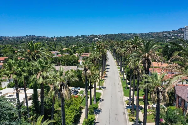 Palmy w słoneczny dzień w Beverly Hills, Kalifornia — Zdjęcie stockowe