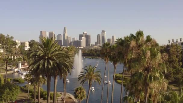 Los Angeles Kaliforniya Daki Echo Park Palmiye Ağaçlarının Havadan Görünümü — Stok video