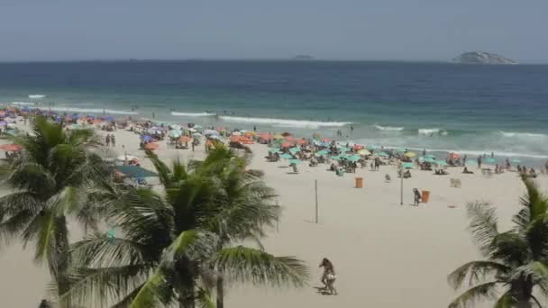 Rio Janeiro Brezilya Daki Ipanema Plajındaki Palmiye Ağaçlarının Hava Görüntüleri — Stok video