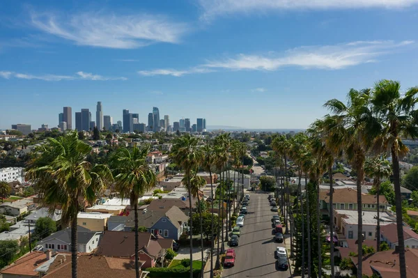 Drone Widok Lotu Ptaka Panoramę Los Angeles Przez Palmy Echo — Zdjęcie stockowe