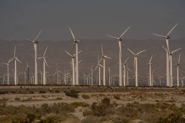 Fermes Massives Éoliennes Énergie Renouvelable Près Palm Springs Californie — Photo