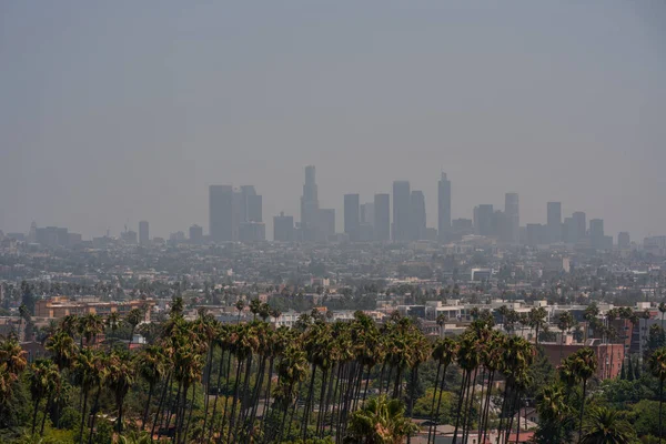 Panoráma Felvétel Város Los Angeles Belvárosában Mögött Egy Kék Köd — Stock Fotó