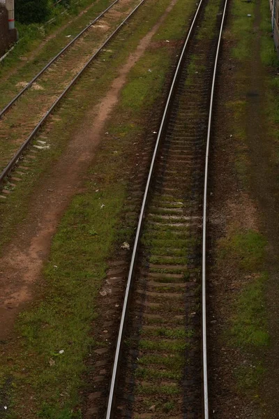 Järnvägsspåren Övervuxna Med Gräs — Stockfoto