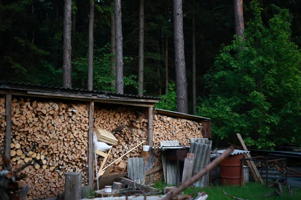 Trawnik Podwórku Stos Drewna Opałowego Pod Baldachimem Las Iglasty Tle — Zdjęcie stockowe