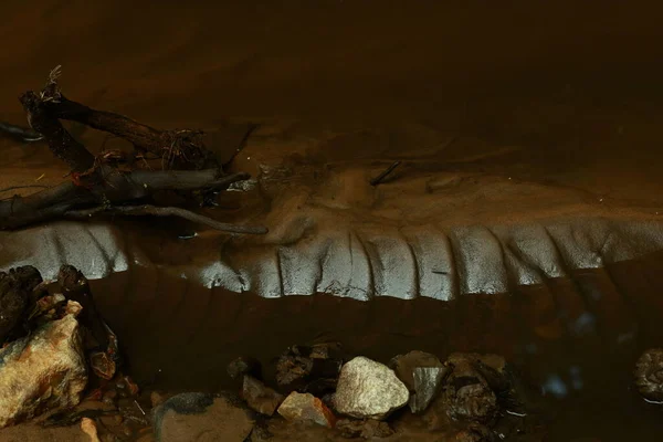 Αμμώδης Βυθός Ενός Ρηχού Ποταμού Θίνες Και Κύματα Άμμου Κάτω — Φωτογραφία Αρχείου