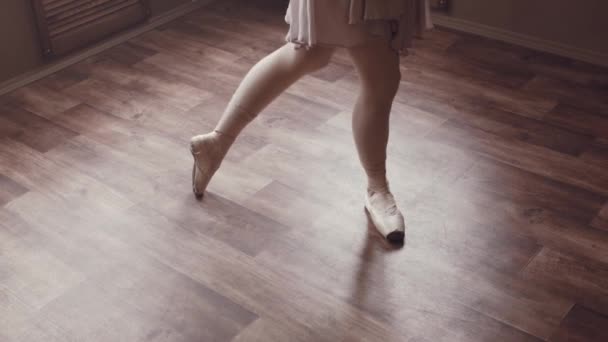 芭蕾舞舞会芭蕾舞演员在一个简单典雅典雅的礼服和排练舞蹈在一个老室内演播室与大窗口 自然照明与薄雾 — 图库视频影像