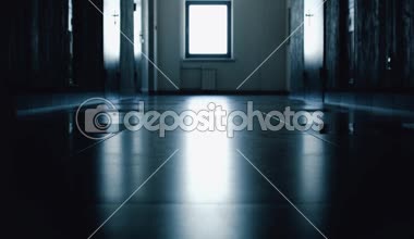 Koridorun bir yürüyüş sırasında bir kadının topuklu yüksek ince topuklu kadın ayakkabısı bir silueti yakın çekim. İş Bayan gizli. İş oyunda entrika. Bir sır küpü.